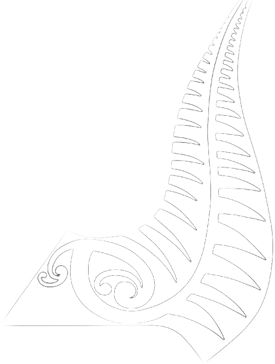 NZ Māori Hockey Logo